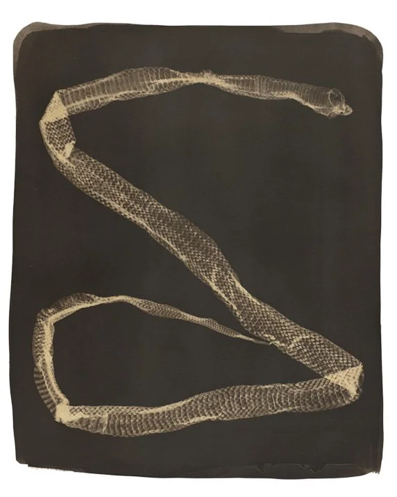 Serpents