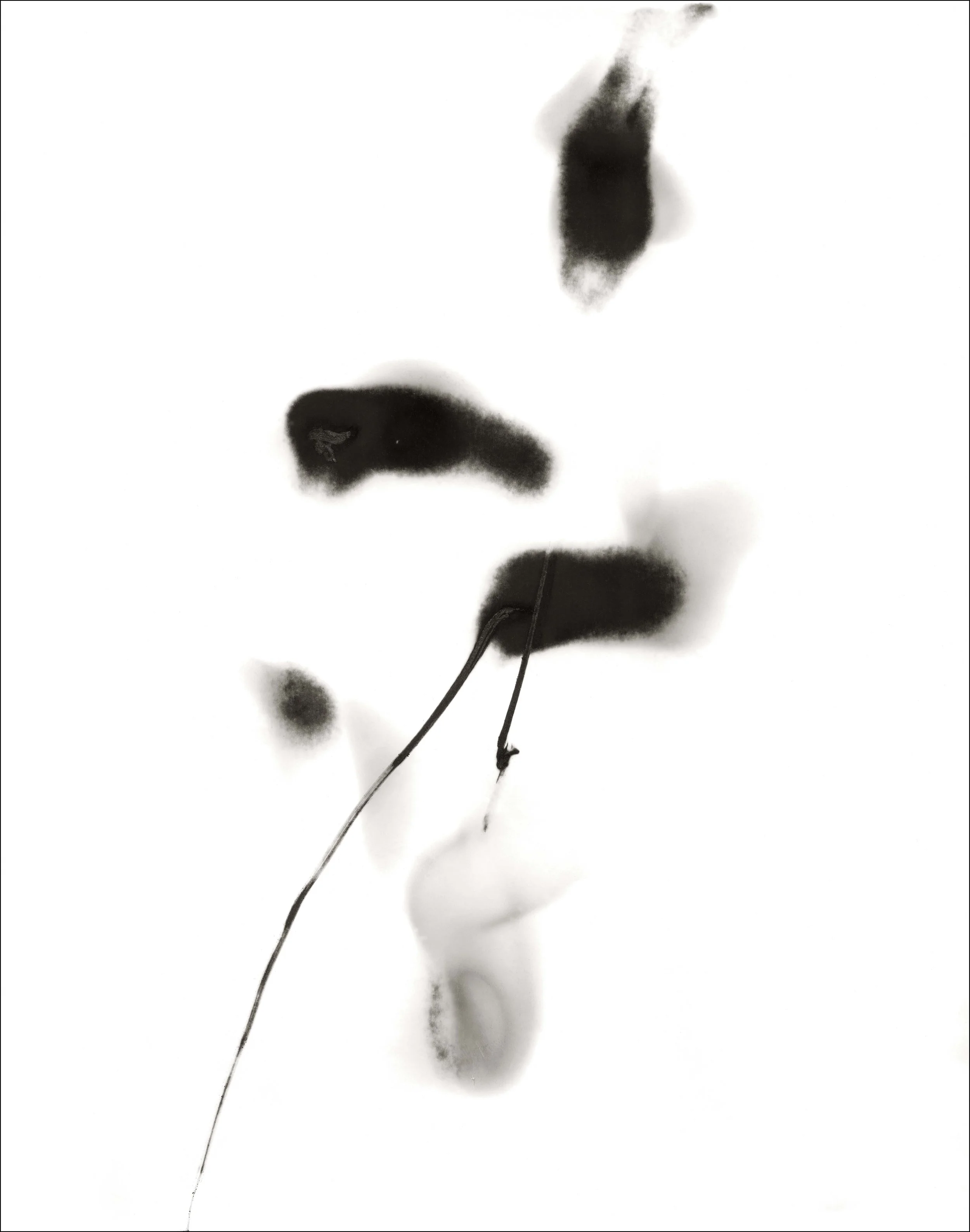 Thermal Drawing 3, 2007 (Ignitions), pigment inkjet print, 22 x 17 inches
