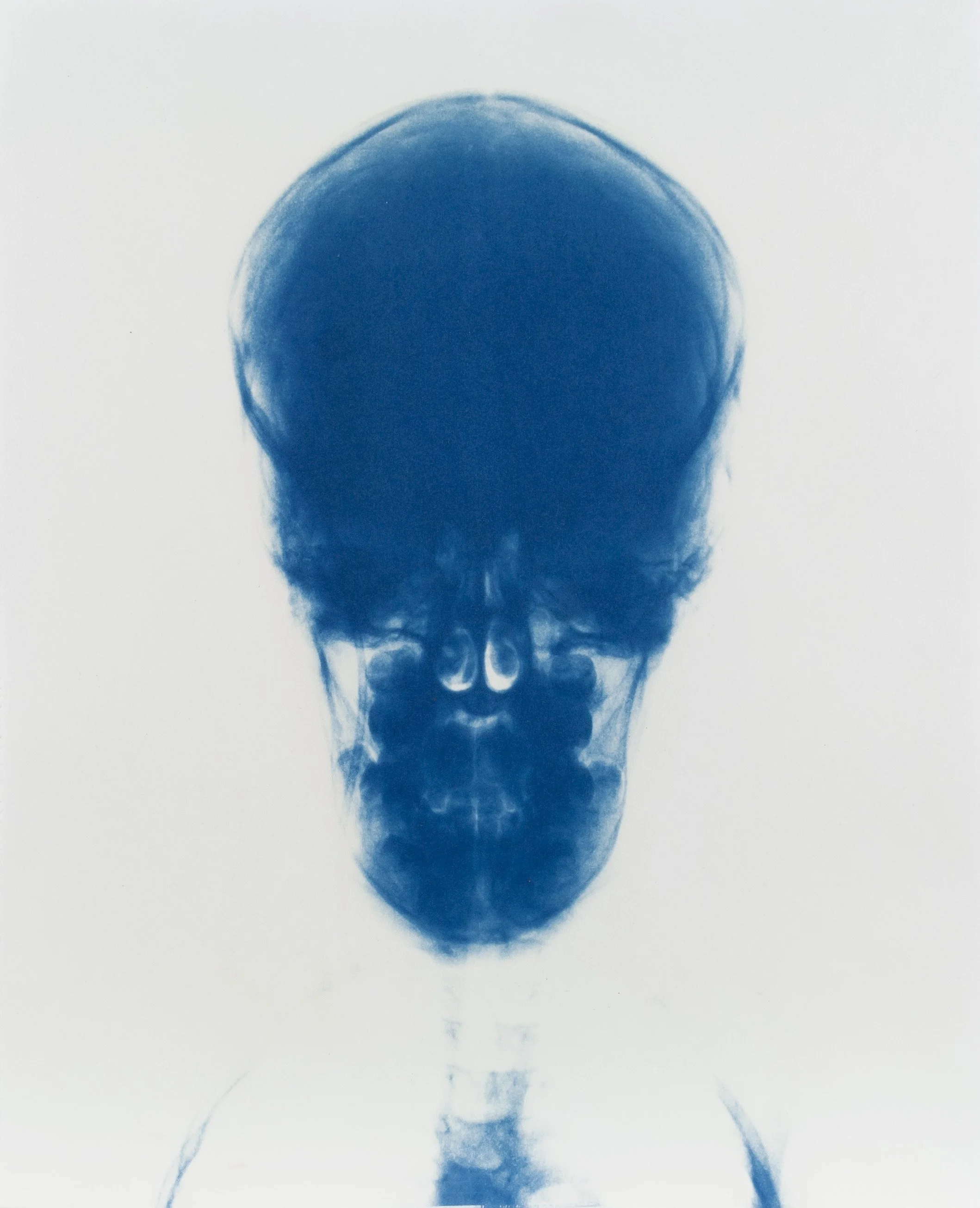 Cyanotype + Platinum Palladium Prints