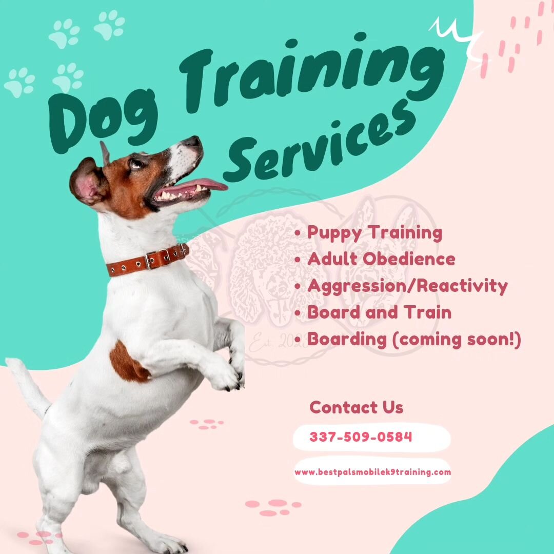 Let us help your furry family member become the best they can be!🐾

Serving Central/Southwest Louisiana 
Call or text / (337)509-0584
Together, we can build a happy, healthy dog!
📱Contact us today!📱 

💻www.bestpalsmobilek9training.com💻 
💌bestpa