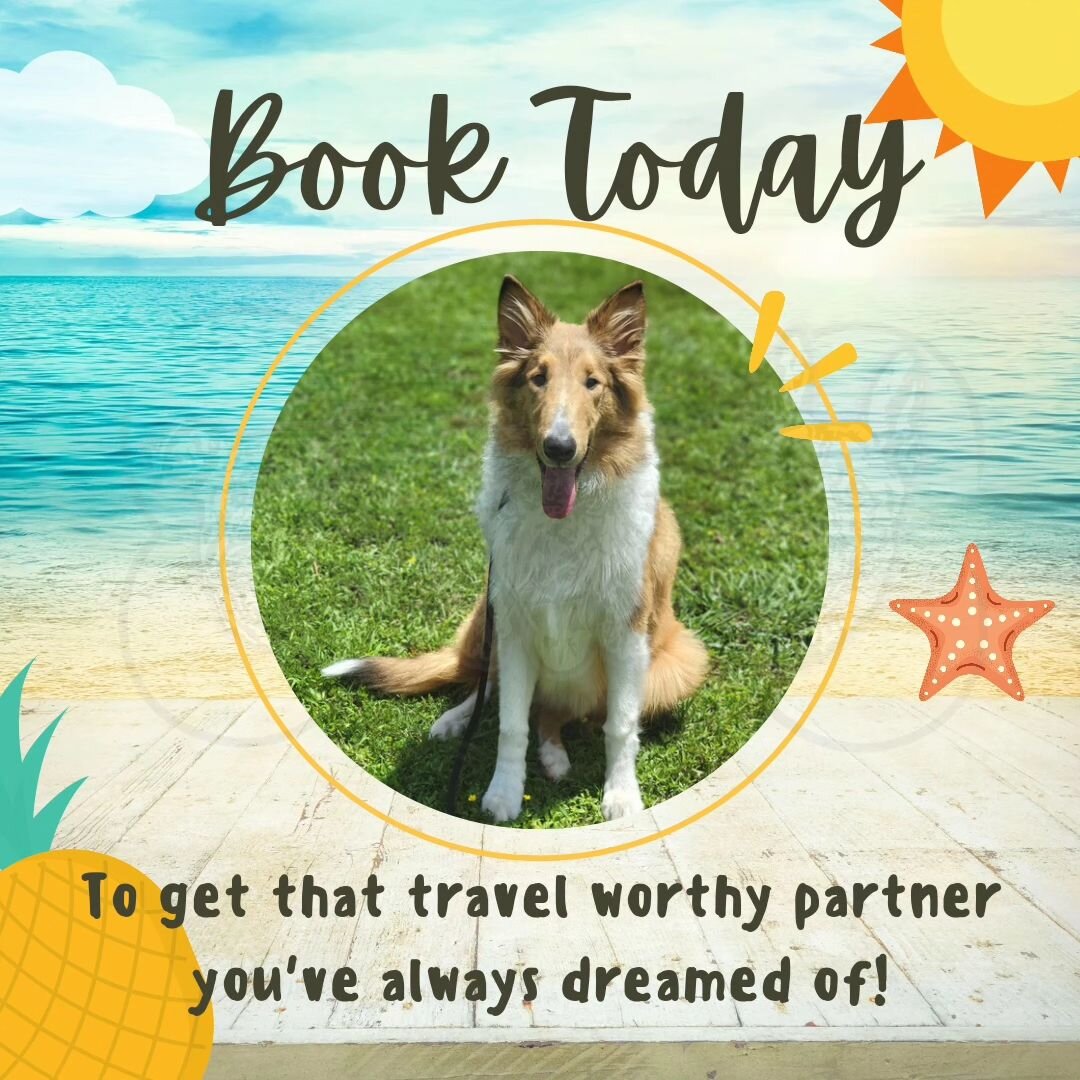 We know what it's like to want the freedom of bringing our k9 family member on vacation with us. Sometimes the trust and confidence just aren't there. That's what we are for. Message us today to learn more! 

Serving Central/Southwest Louisiana 
Call