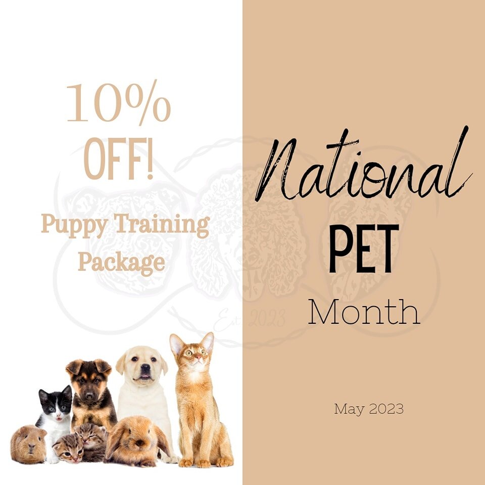 In honor of May being National Pet Month, Best Pals is giving 10% off any puppy package! Don't forget to mention this post at booking. 

Serving Central/Southwest Louisiana 
Call or text / (337)509-0584
Together, we can build a happy, healthy dog!
📱