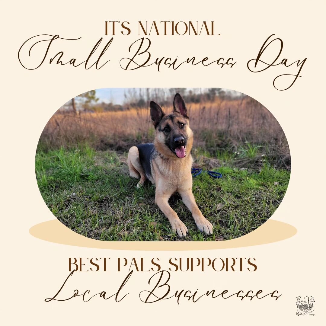 It's National Small Business Day AND German Shepherd Day. It's definitely a day worth celebrating over at Best Pals! 

Serving Central/Southwest Louisiana 
Call or text / (337)509-0584
Together, we can build a happy, healthy dog!
📱Contact us today!?