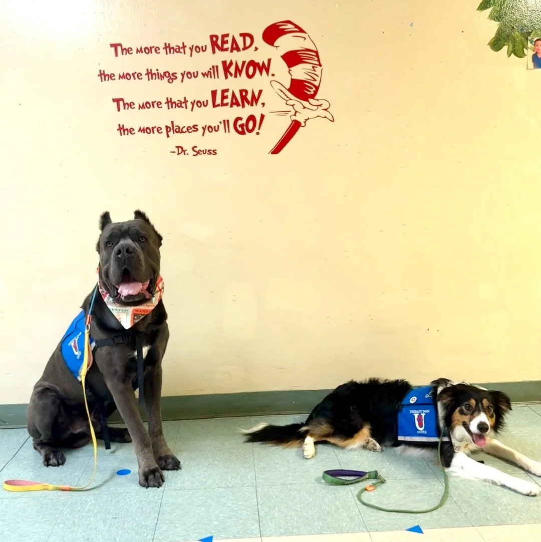 Therapy Dogs in Louisiana!