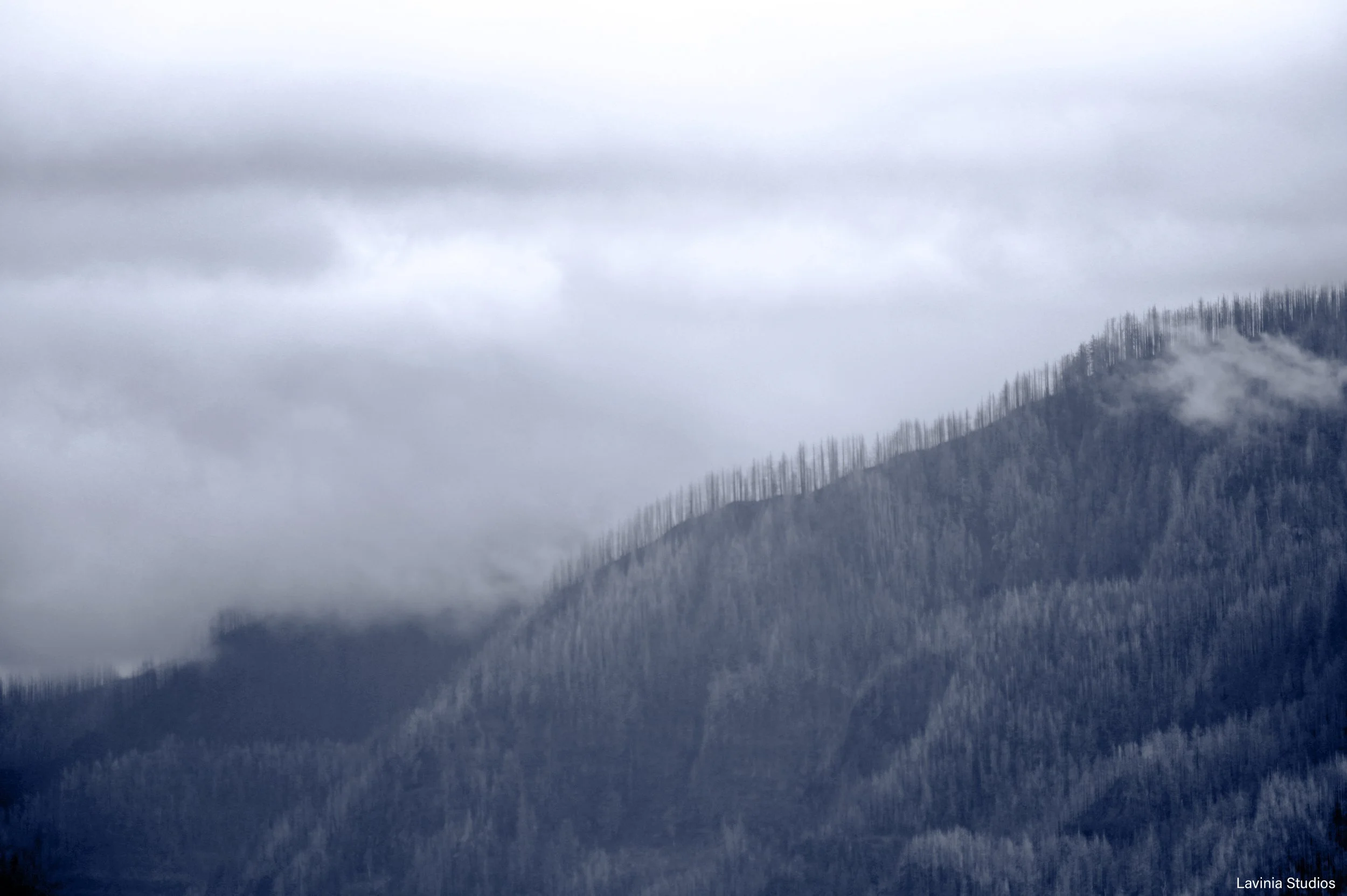 Hillside on Oregon side of Columbia
