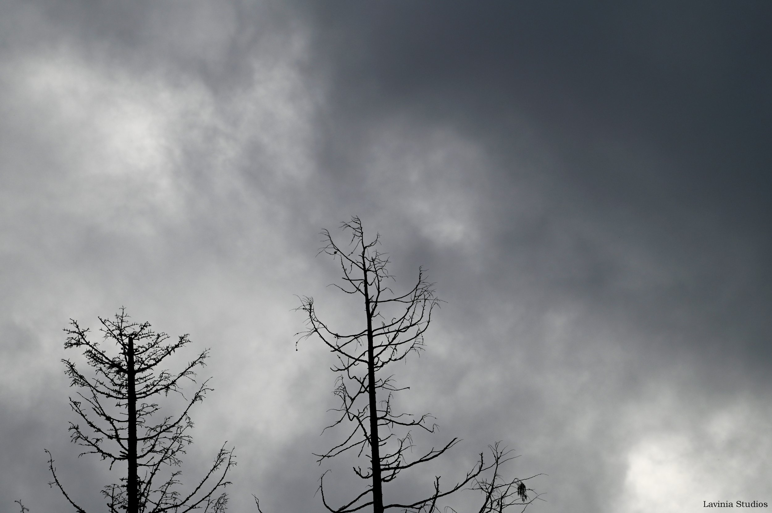 Stormsky - 2