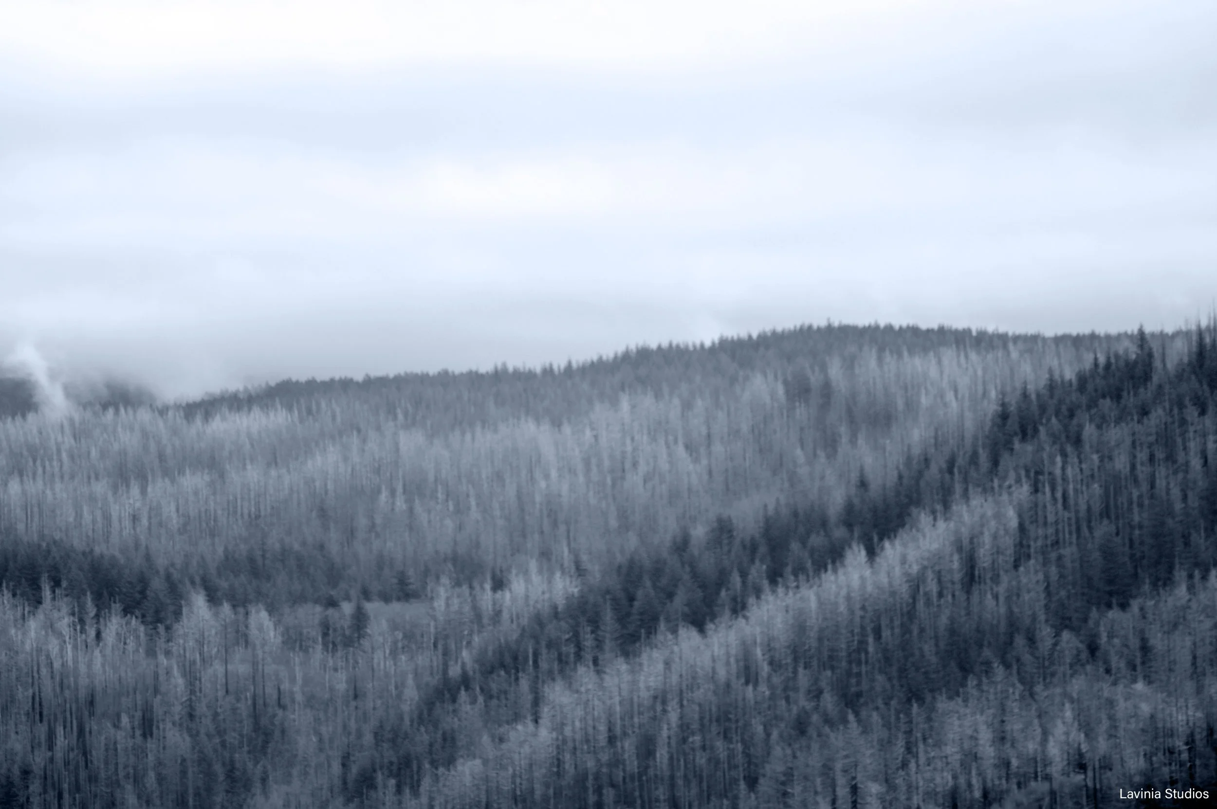 Hillside, from Oregon side of Columbia river - II