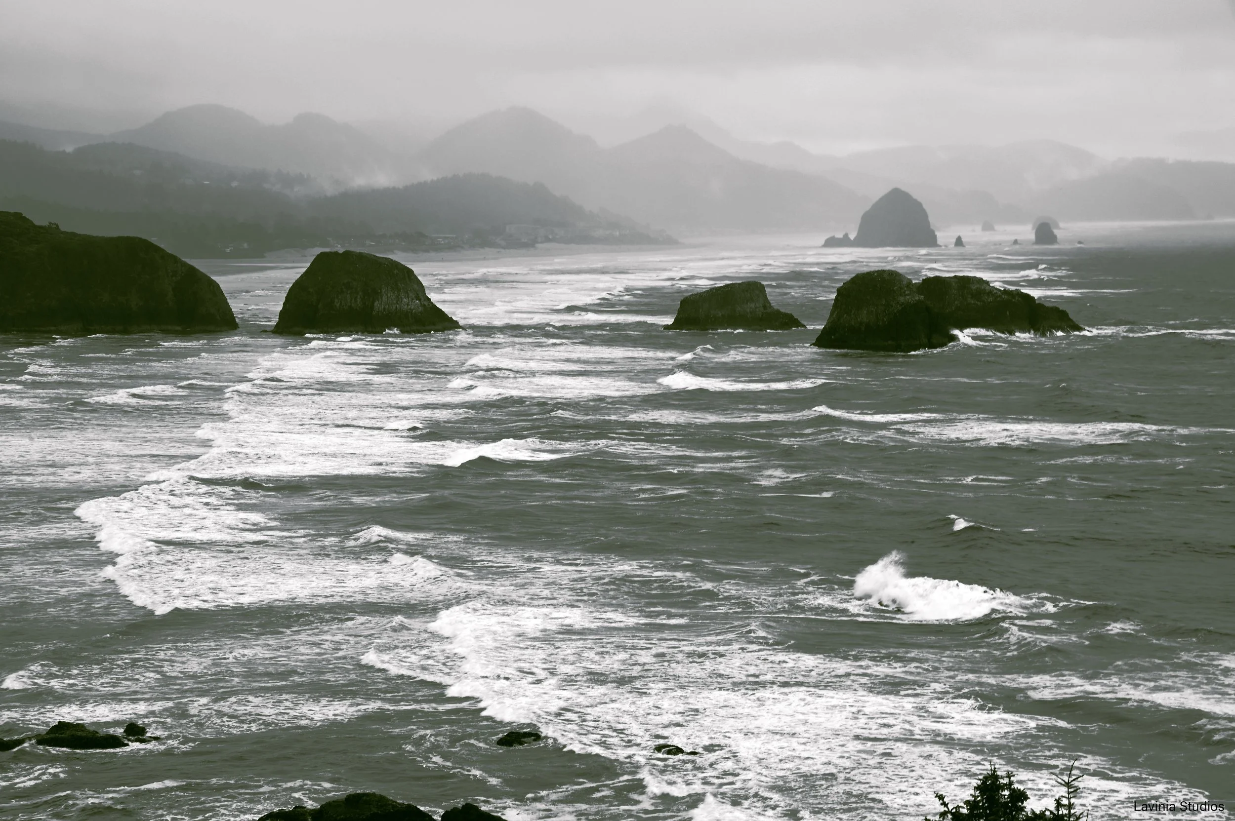 Ecola State Park Oregon