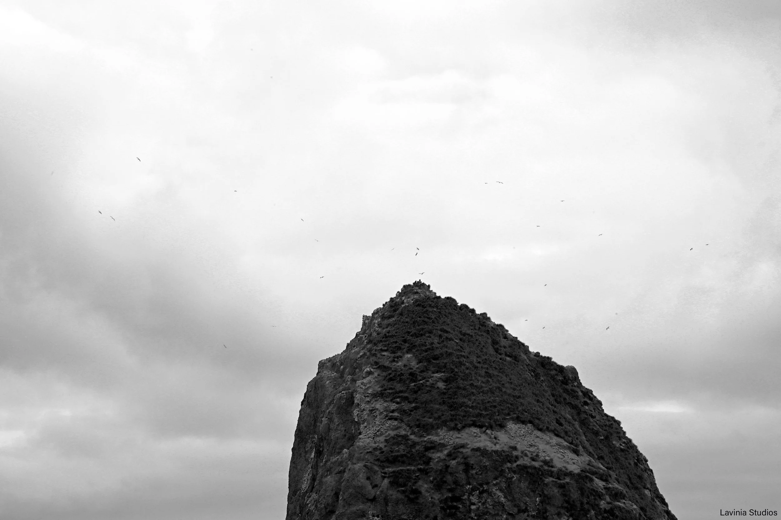 Haystack Rock with Seagulls, Cannon Beach, OR
