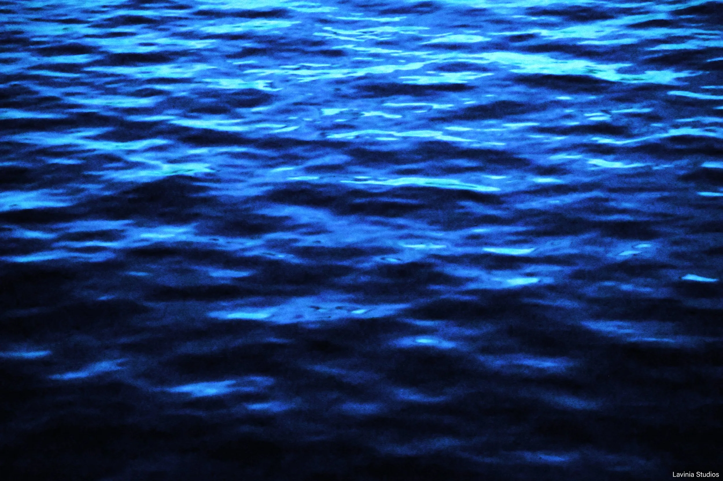 Elliott Bay at Night