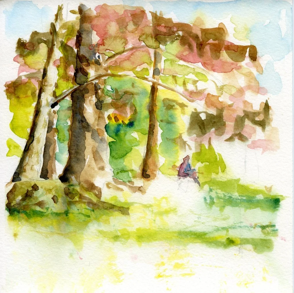 Bomen leren zien door ze tien dagen te schilderen