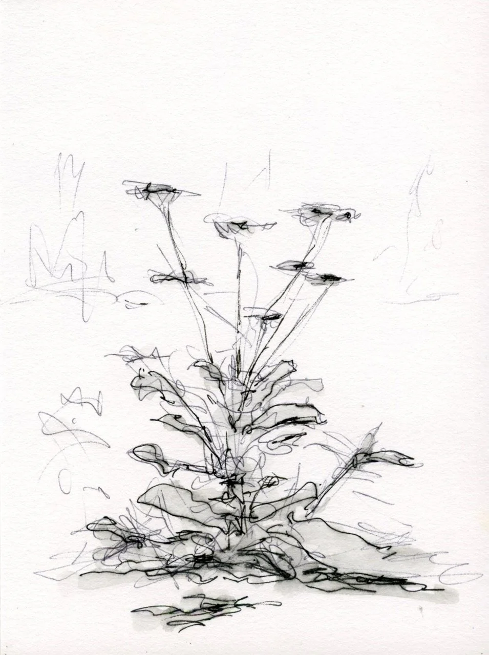 Kijken met potlood in de hand