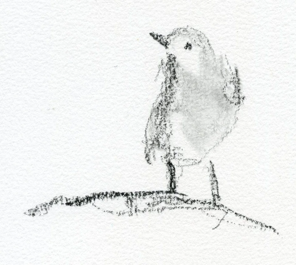 Wit: de kracht van bijna niets