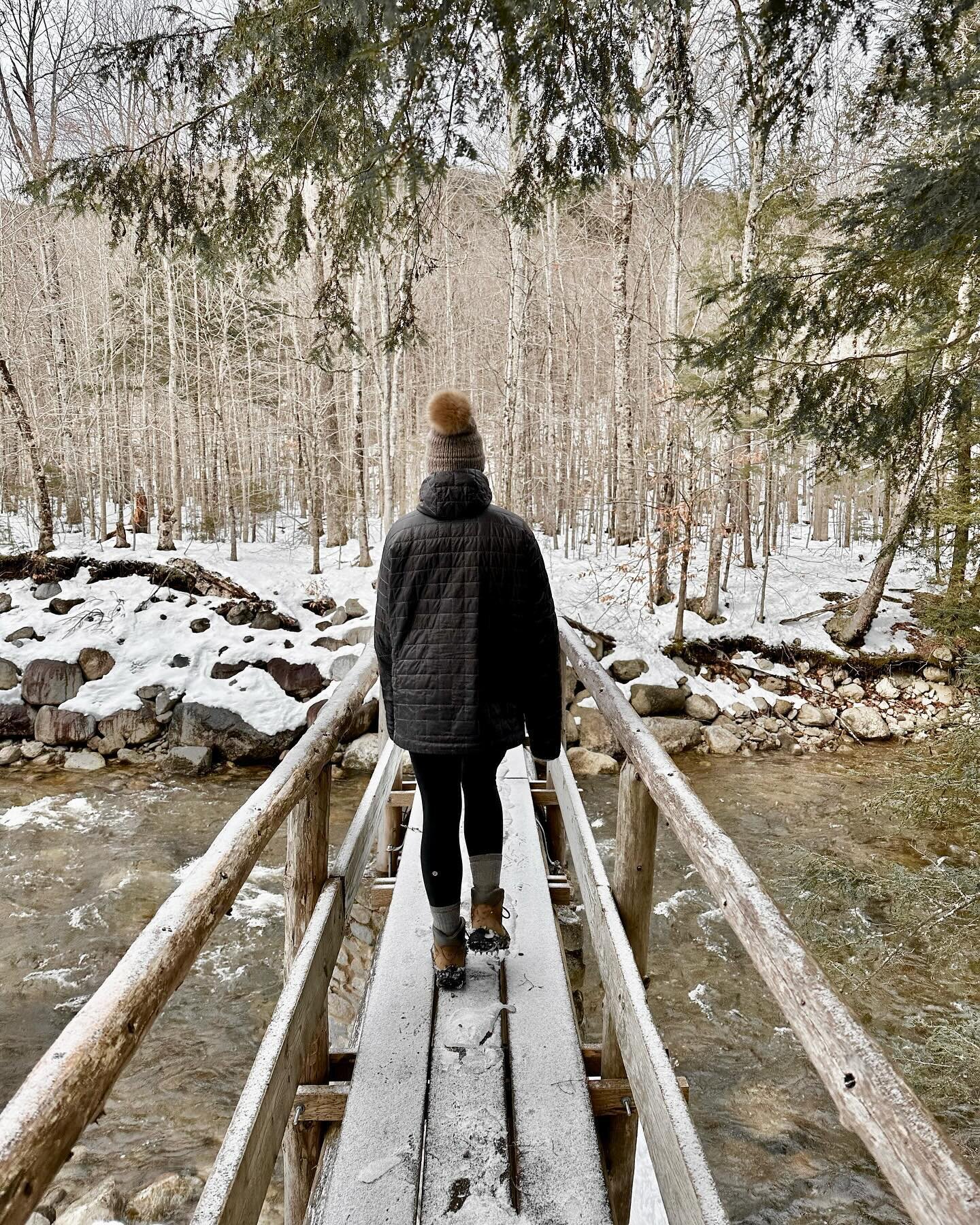 ❄️ Going Inward: Embracing Winter 

Today I wrote about learning from nature to live seasonally. 

Winter in NY can be tough, and I made a little list in the notes app of my phone a couple years ago to help remind me how to embrace to joys of winter 