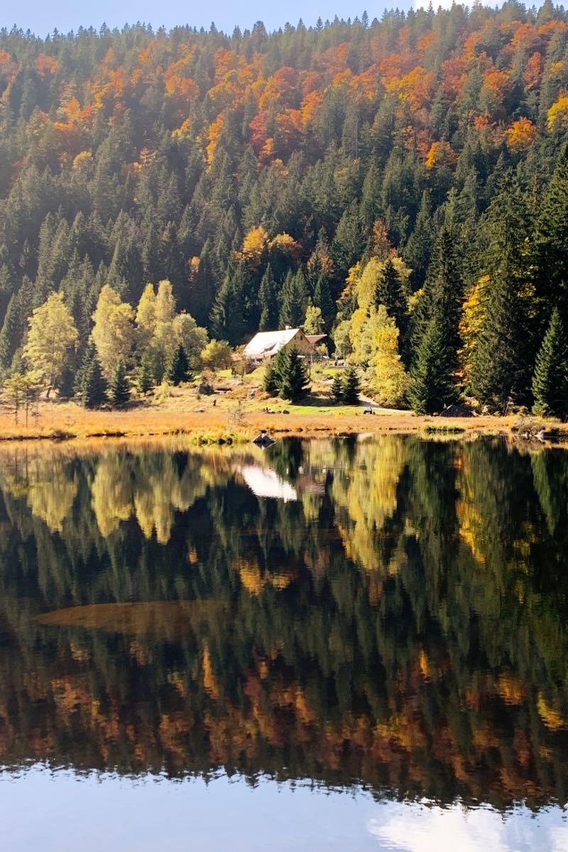 Wanderung zum kleinen Arbersee