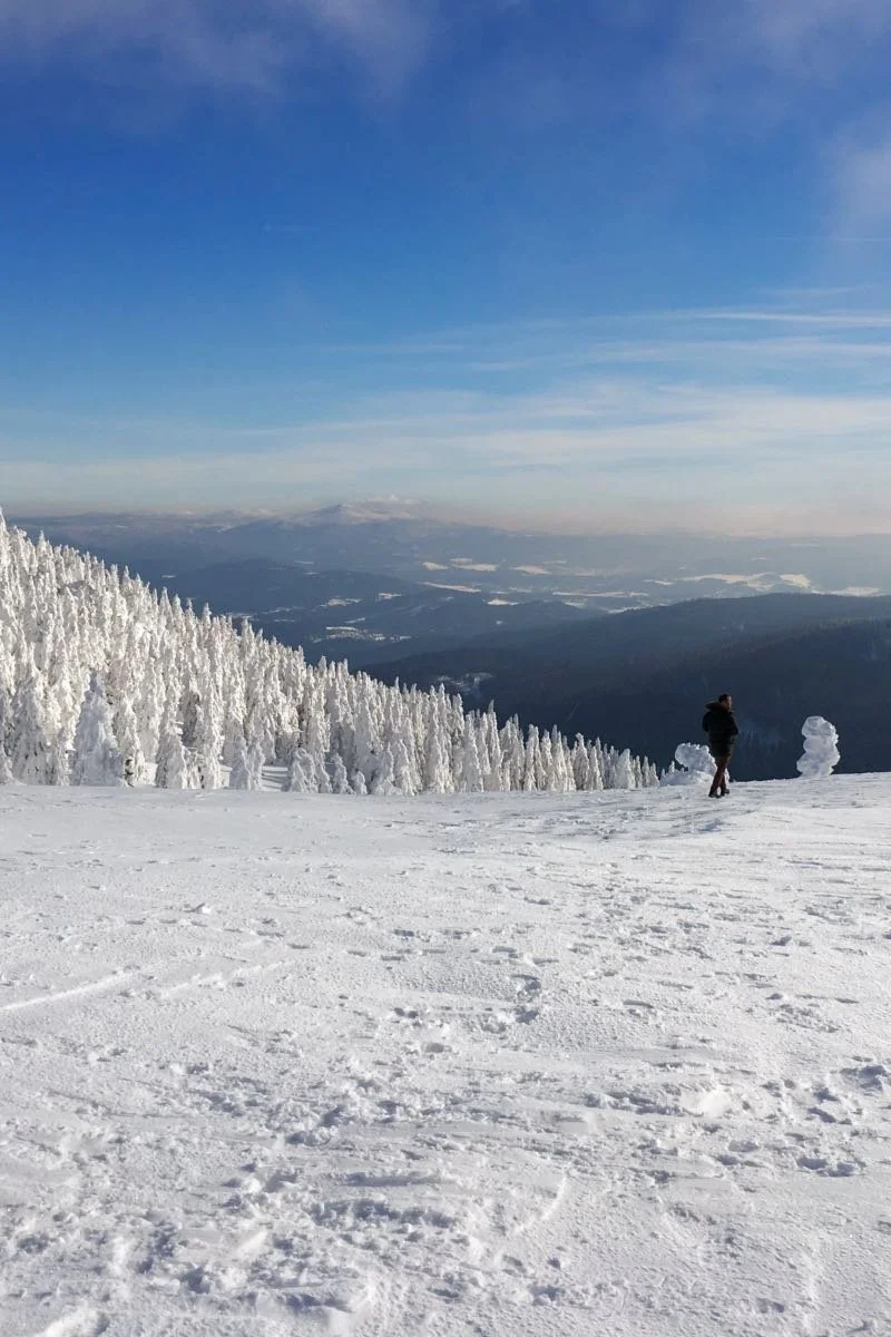 winterfeld-winter-auf-dem-arber.jpg