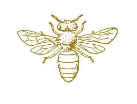 Taylor Lane Interiors