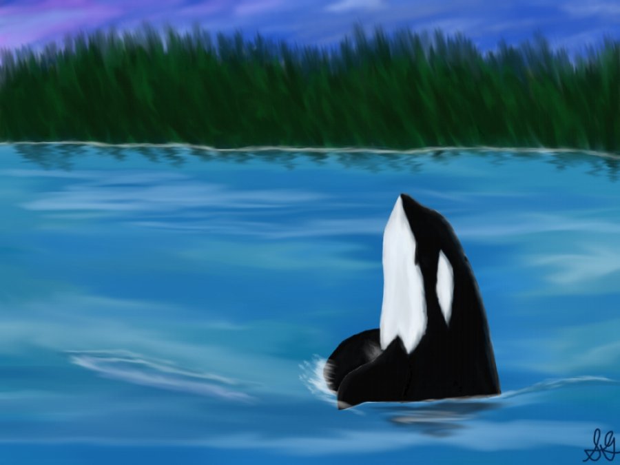 Wild waters swjpeg 2.jpg