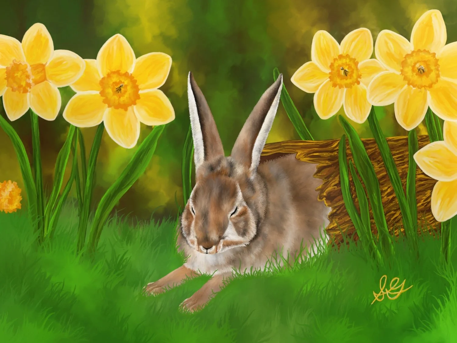 Within the Daffodils