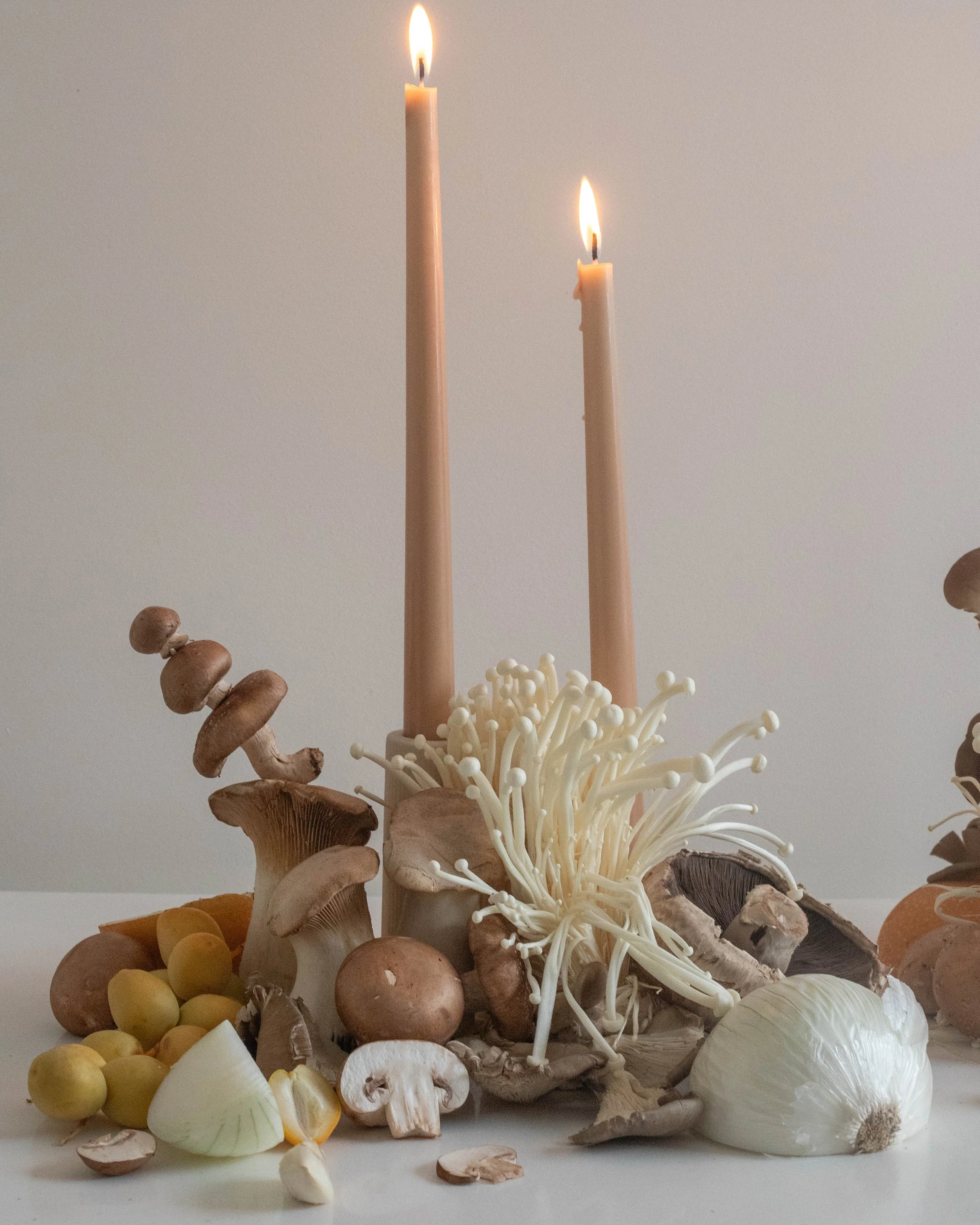 Mushrooms-21.jpg