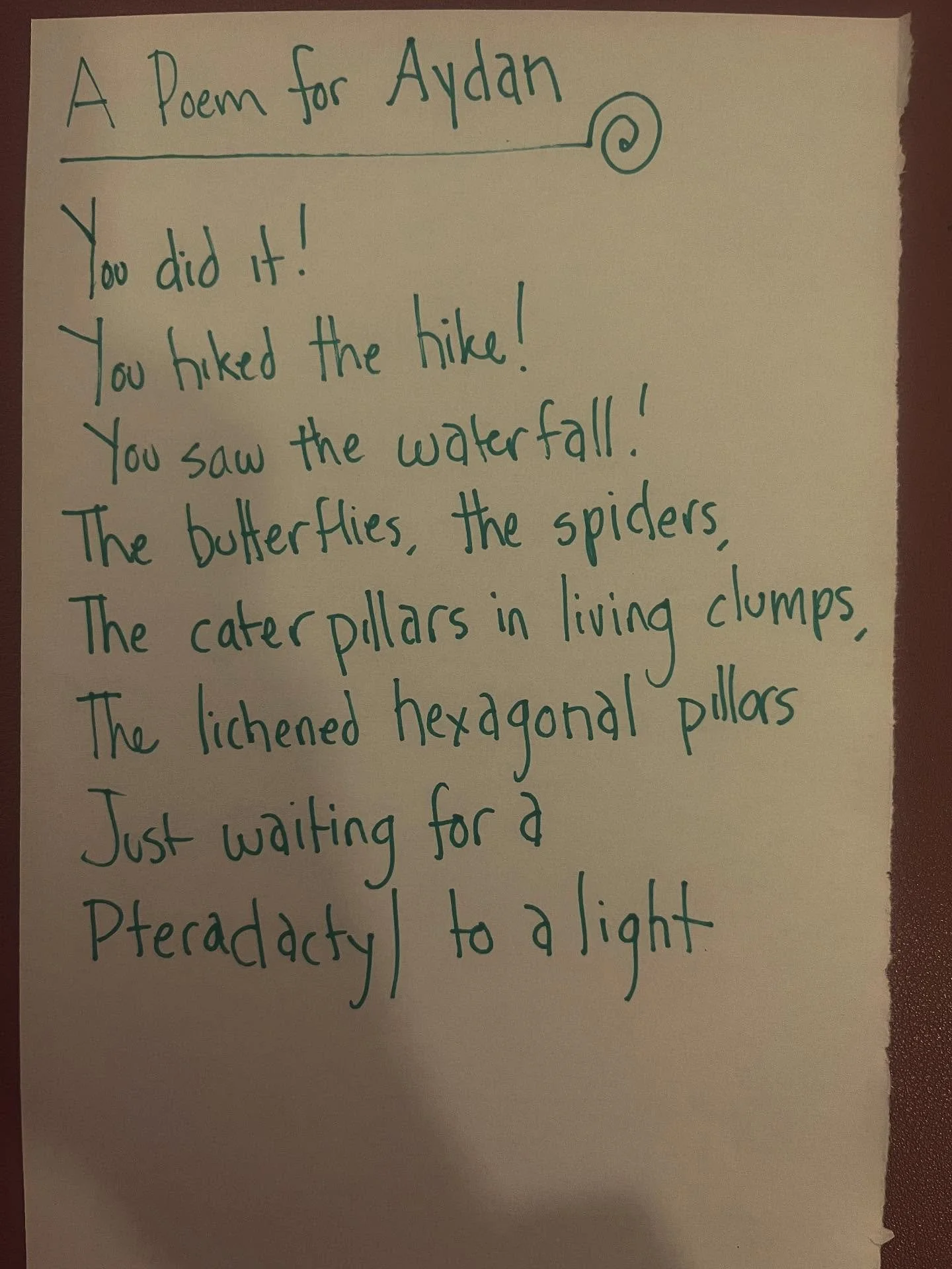 We did a cool hike to a waterfall over the weekend and Aydan was initially less than enthused. But she survived.

#lunchpoems