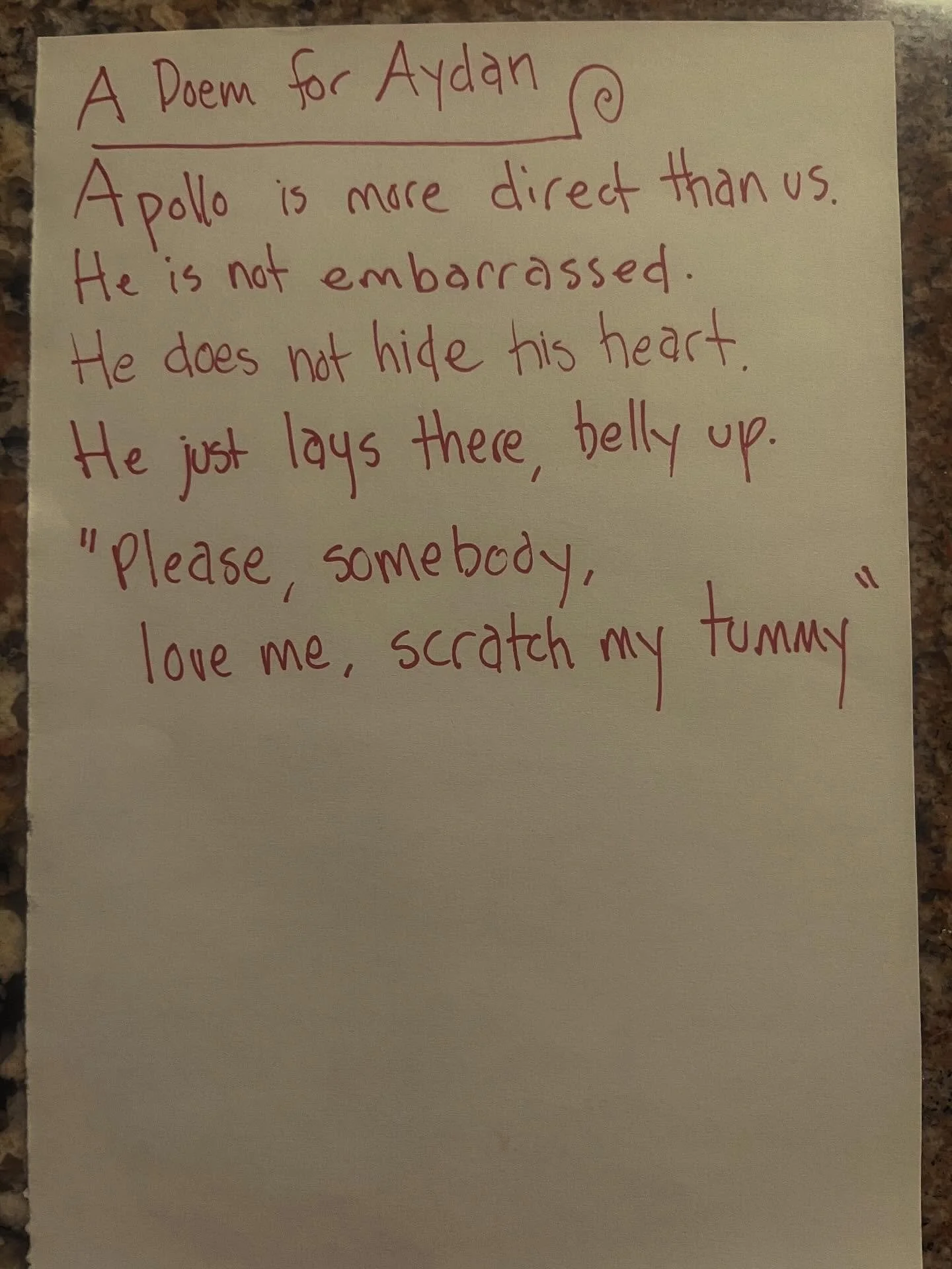 #lunchpoems
#poetry
#kidspoems
#apollo