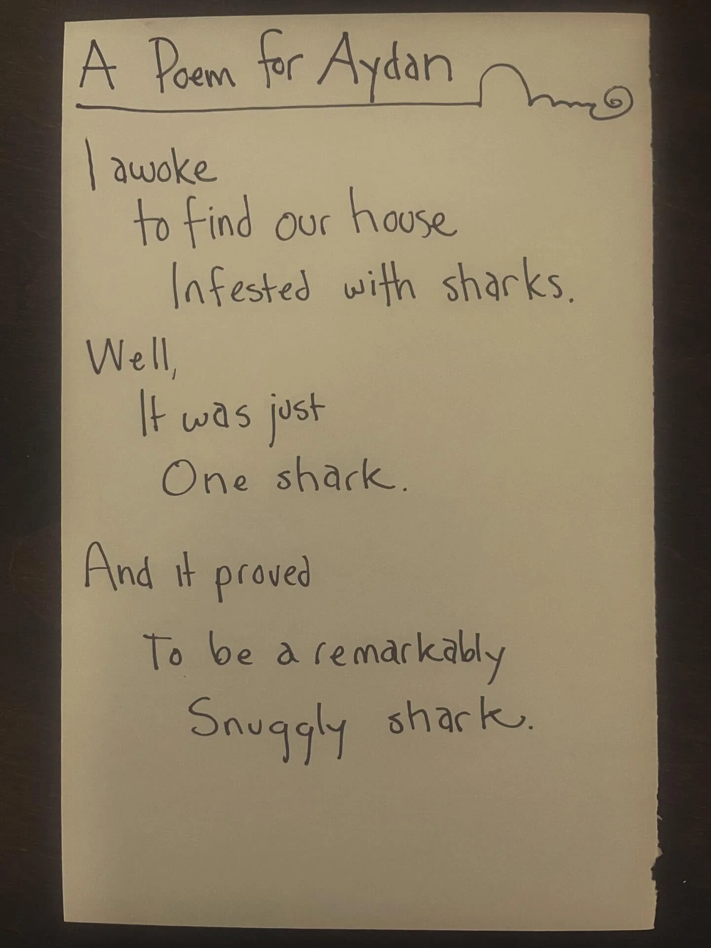 Aydan got a giant fuzzy shark onesie for Christmas.

#lunchpoems
#poetry
#sharkonesie