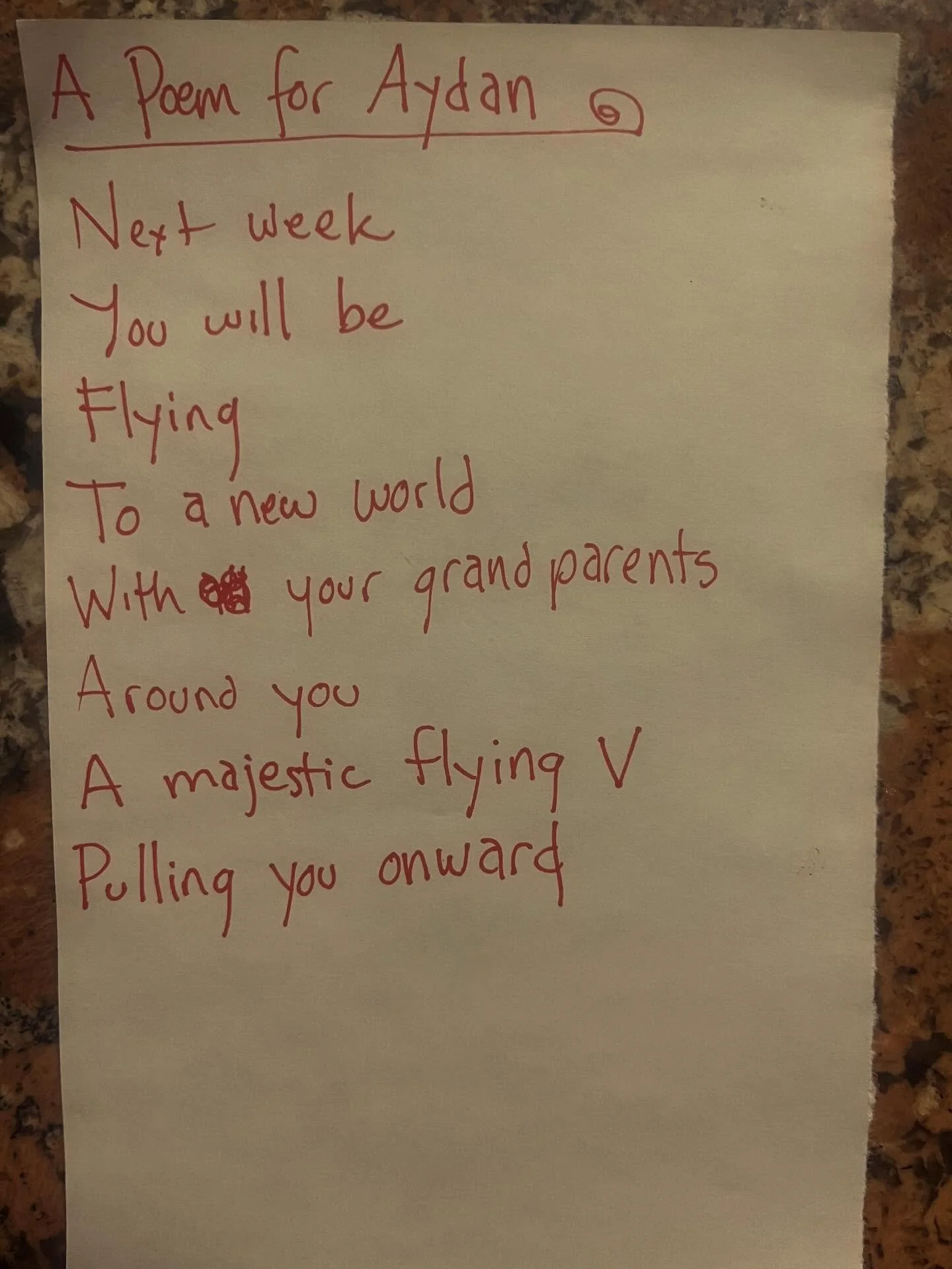 Aydans heading out an a trip with her grandparents.

#lunchpoems
#poetry