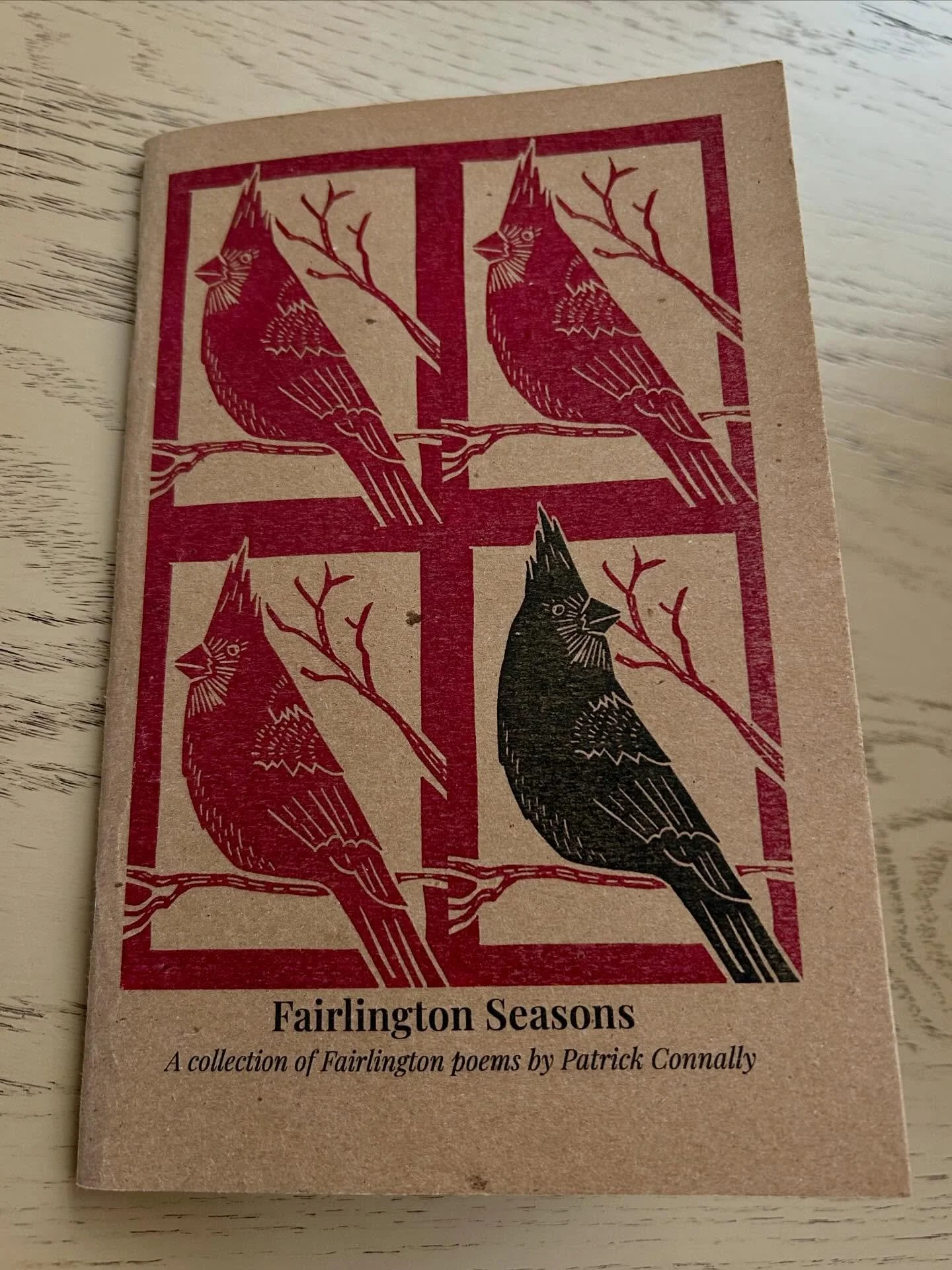 During our time in Virginia I wrote some poems about and for the neighborhood where we lived. I compiled the poems into a little book and had them printed up. The cover art is from last year&rsquo;s Christmas card- some of you might recognize it. If 