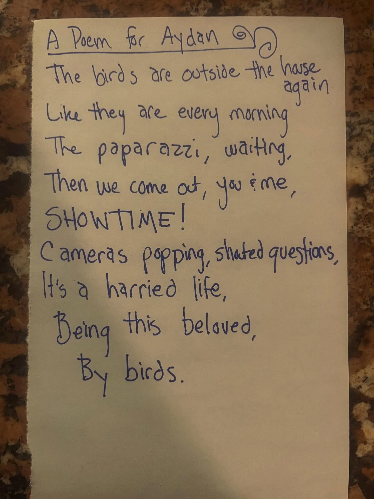 Every morning Aydan says goodbye to me as I go to work and there are always a bunch of birds across the street.

#lunchpoems
#poetry