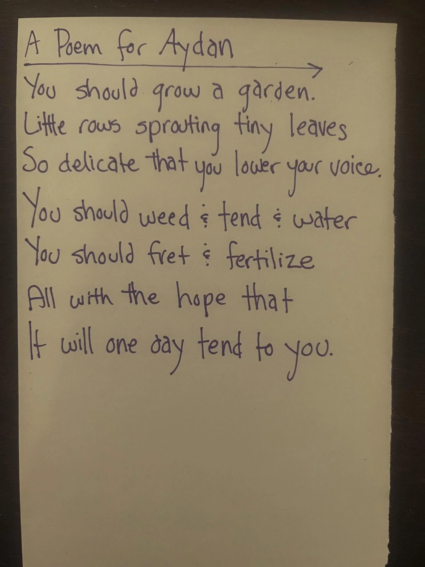 #lunchpoems
#poetry