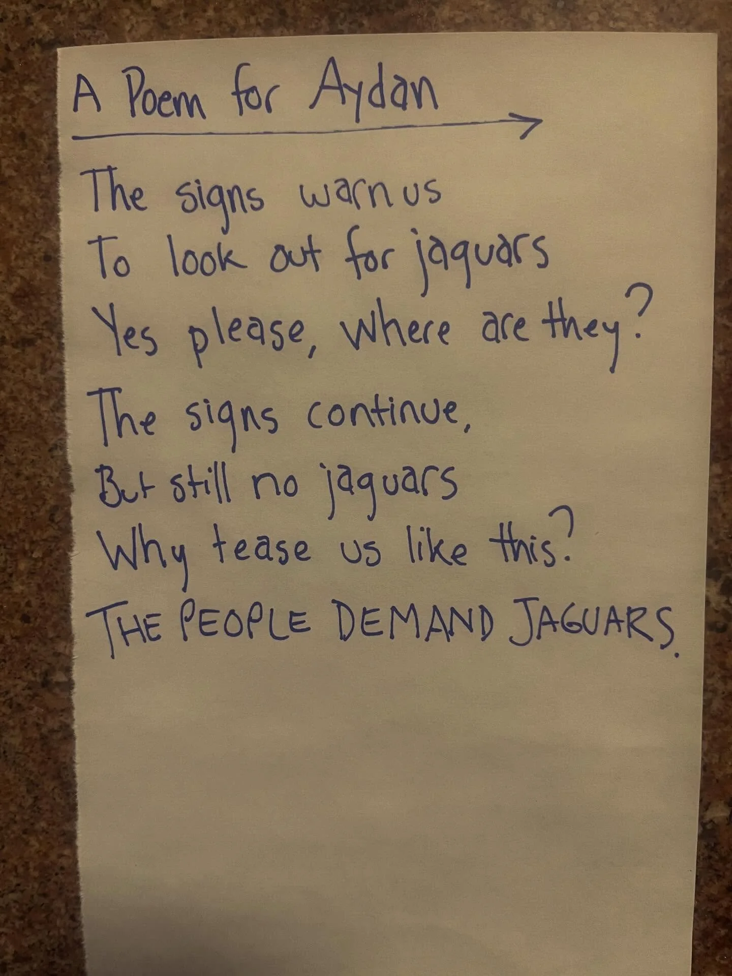 The road to the coast has signs warning you to look out for jaguars. But sadly we&rsquo;ve had no jaguar sightings. 

#lunchpoems
#poetry
#jaguars