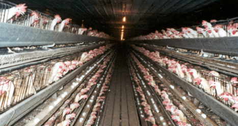 The Truth About Where Food Comes From