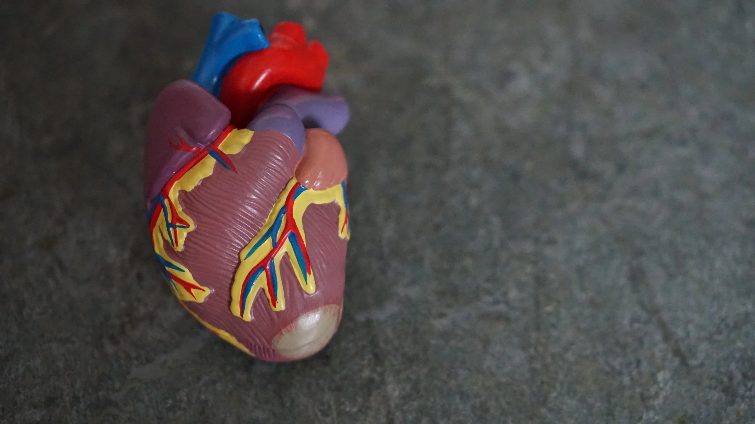 Case Study: Reversing the Formation of a Blood Clot
