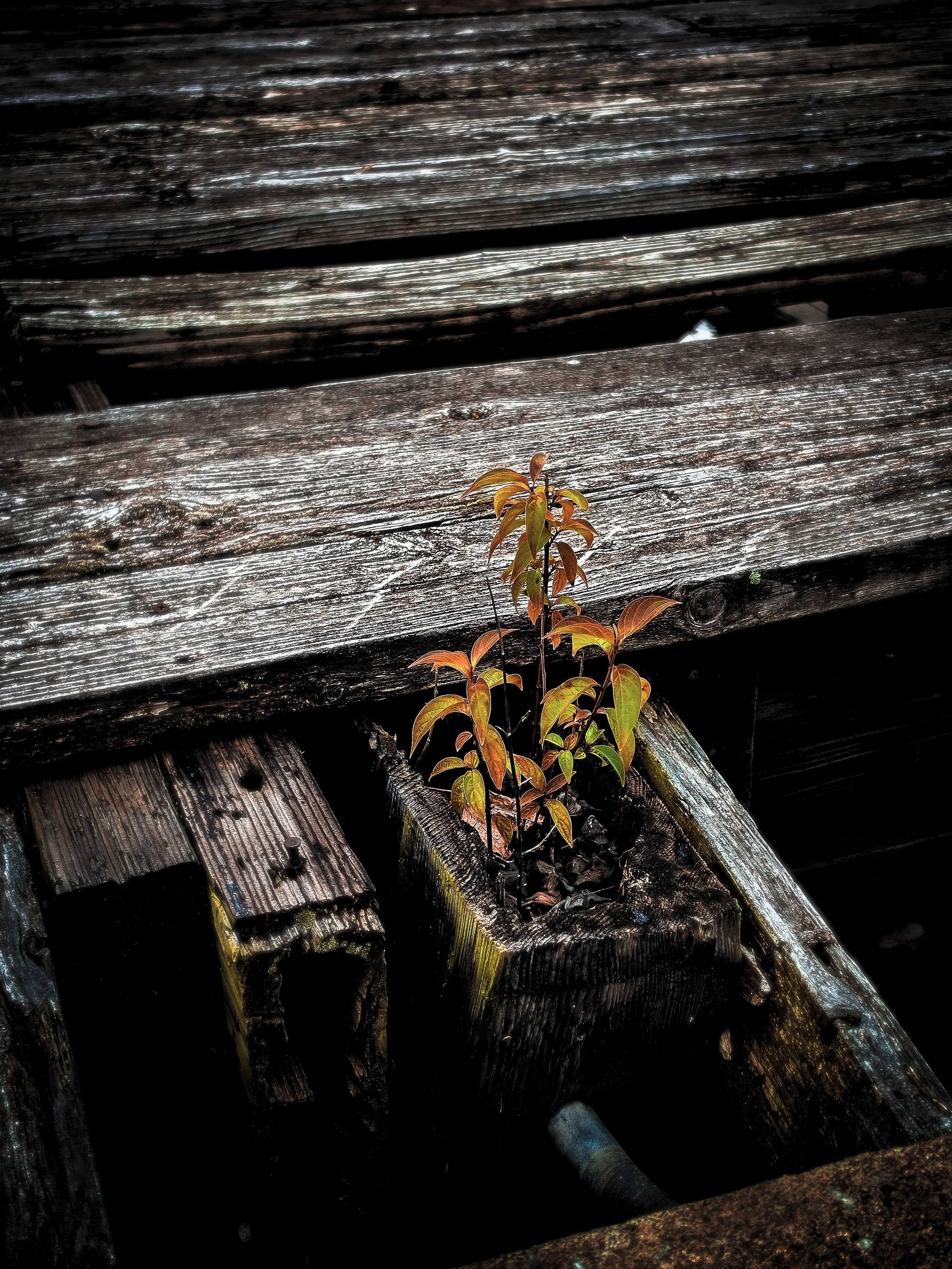 Resilience