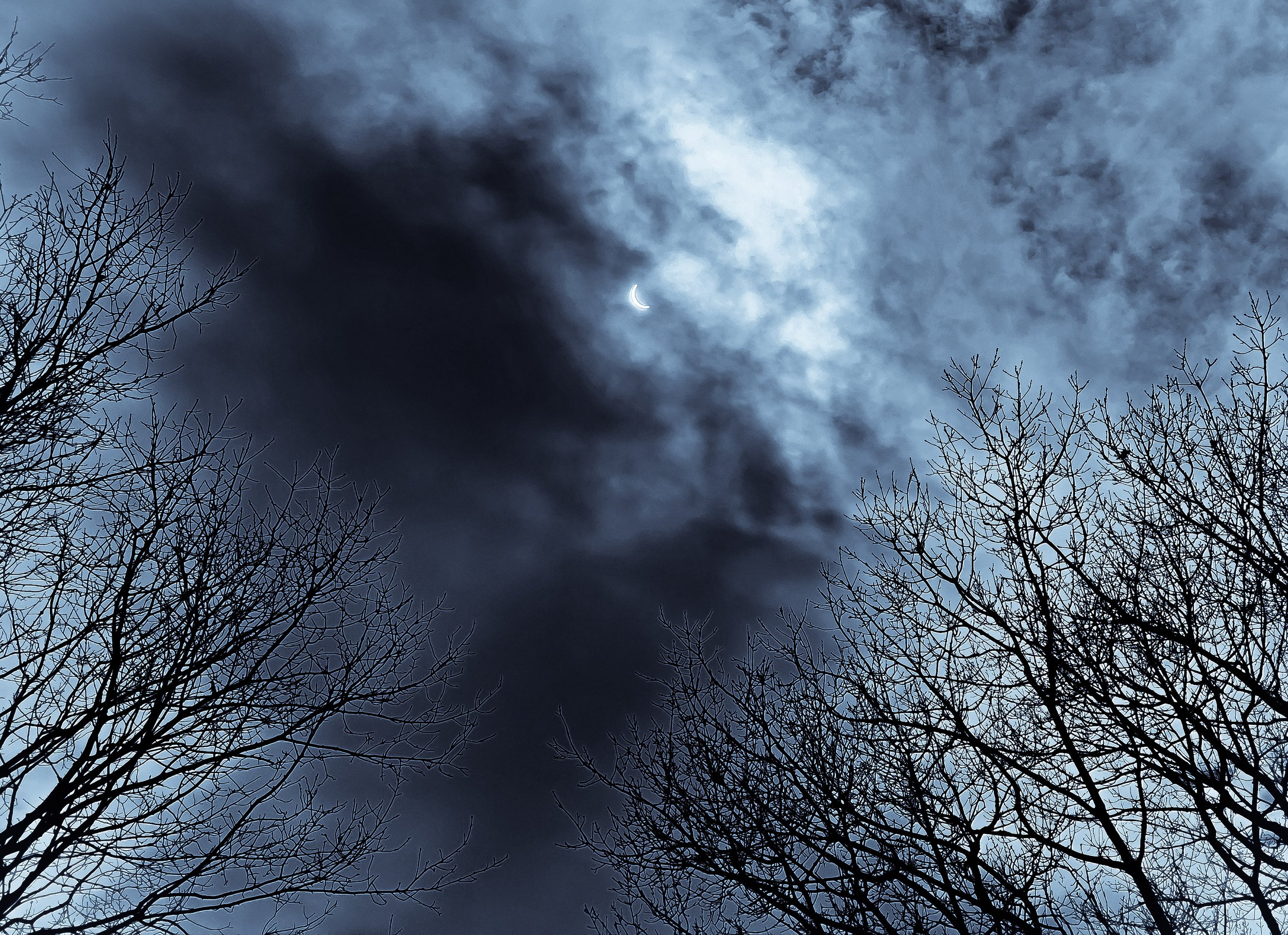 The Veil