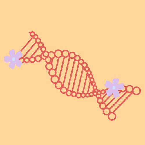 bloom. (2).png