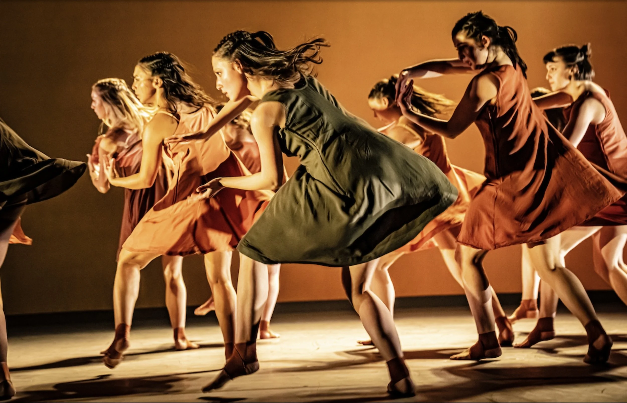 University of Michigan Dance Show