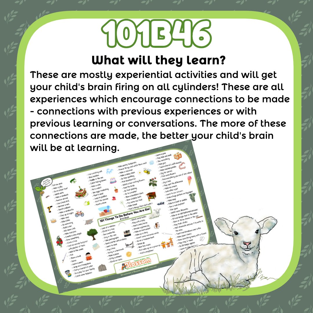 101B46.jpg