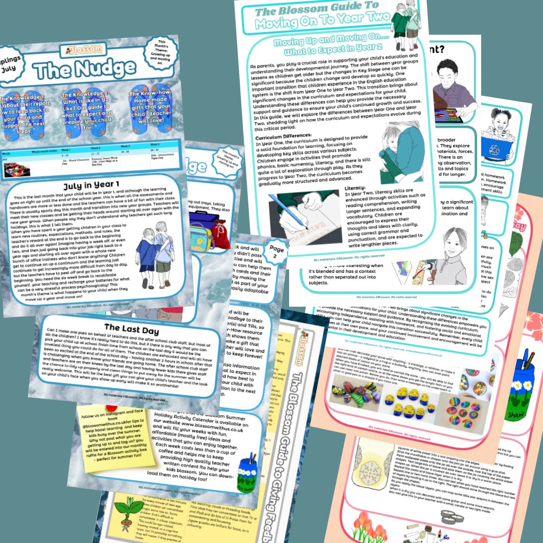 Saps product.jpg