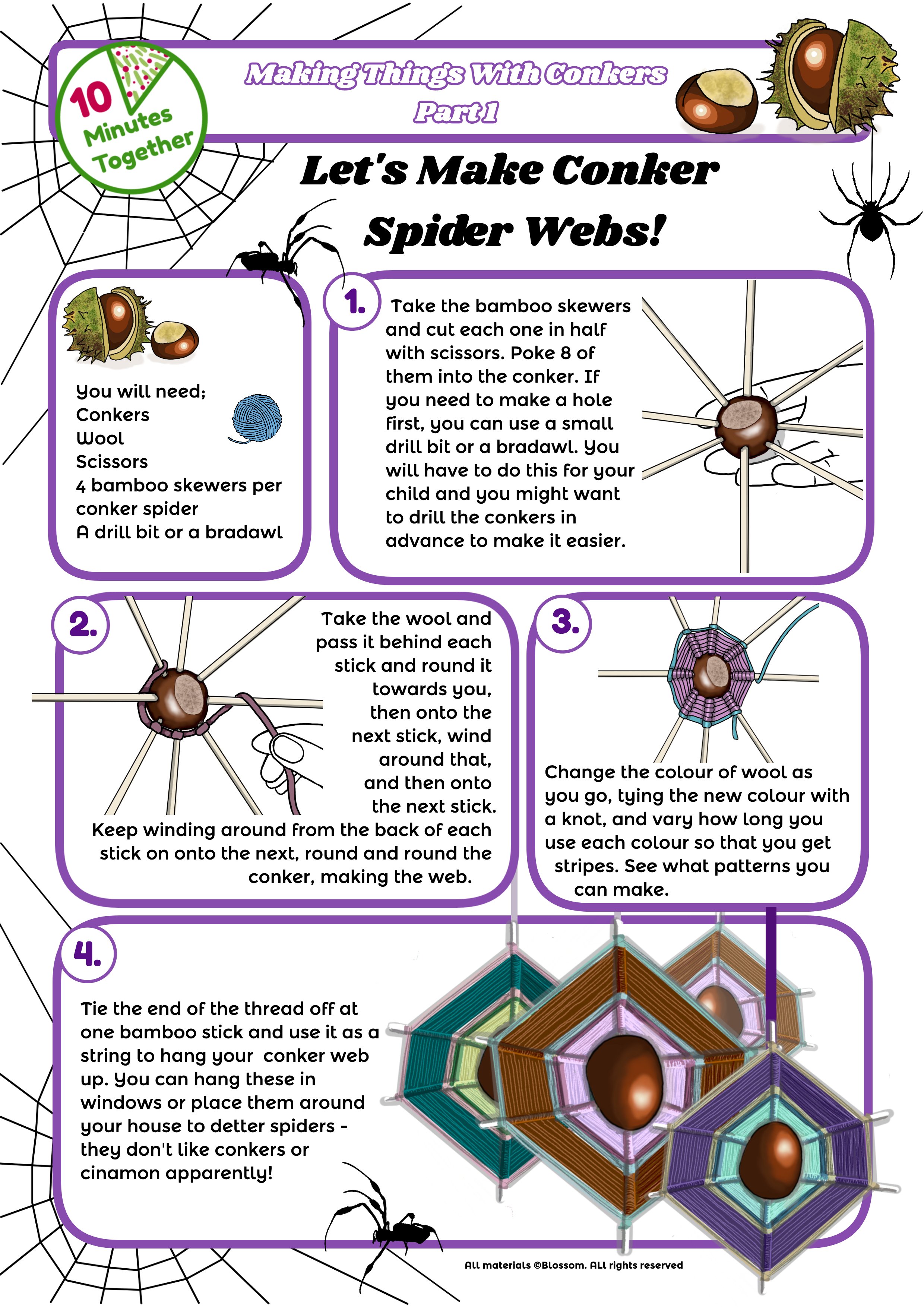 Conker spider webs.jpg