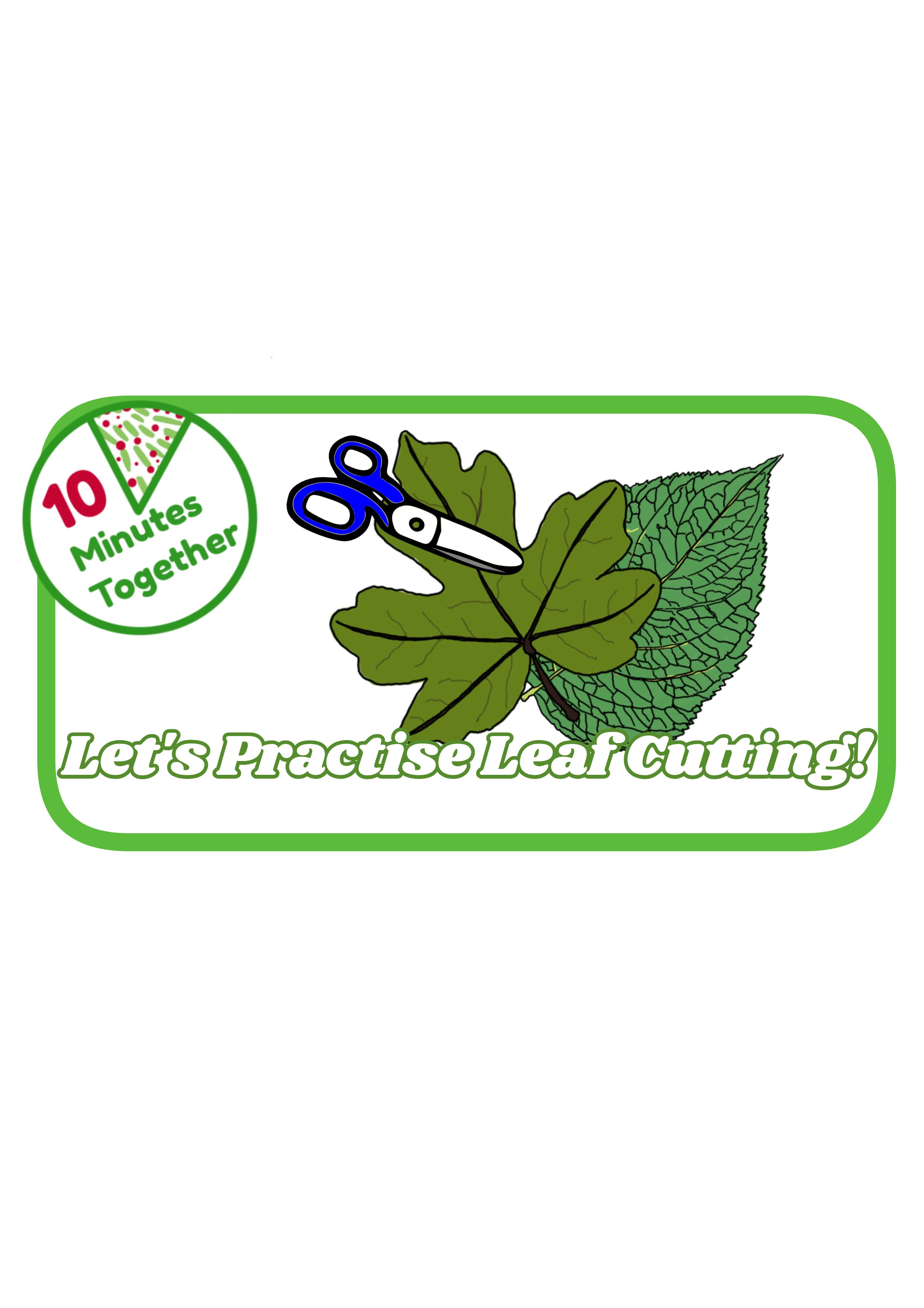 leaf cutting.jpg