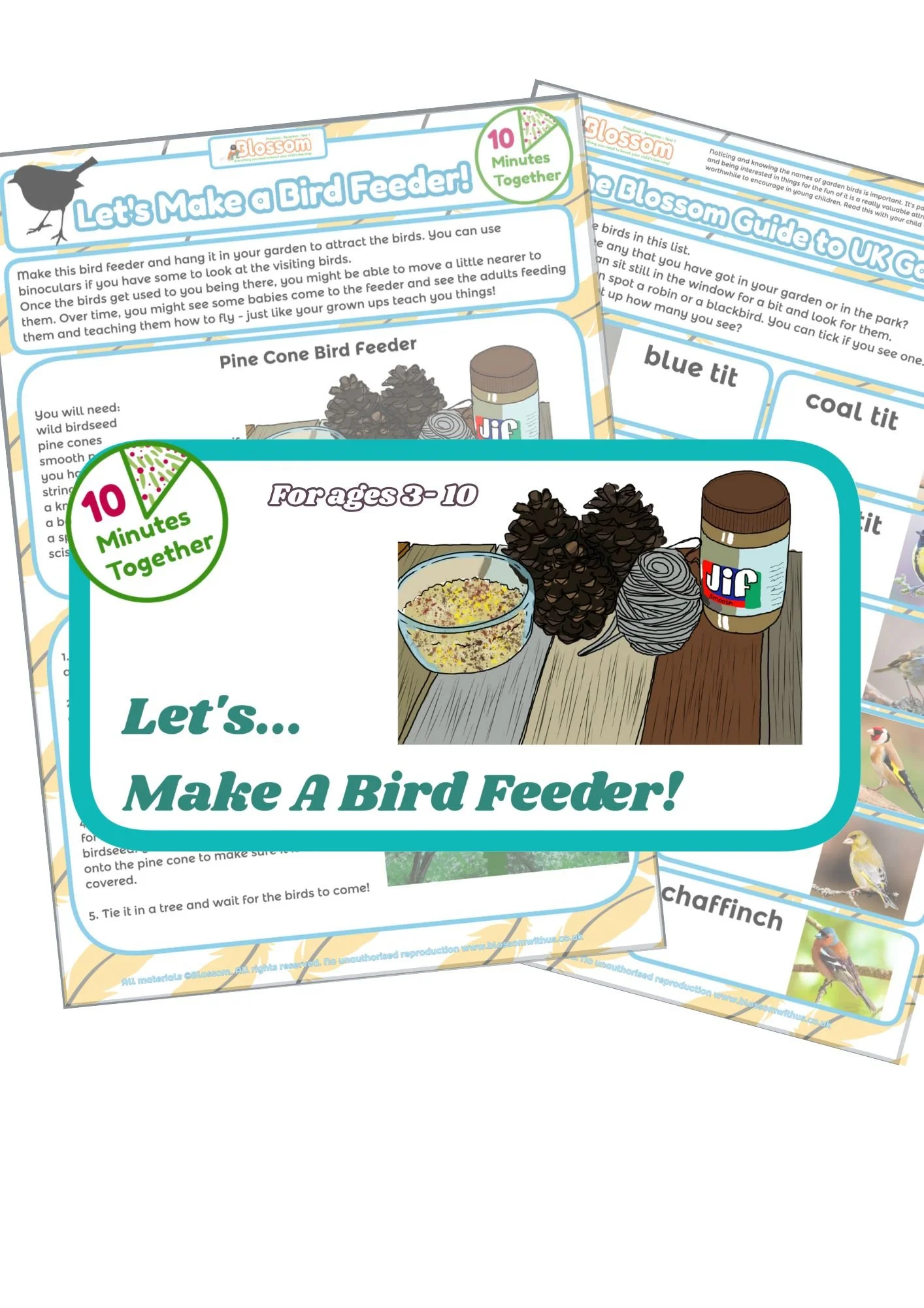 Let's Make a Bird Feeder