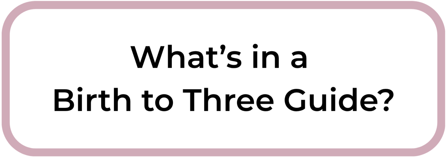 Text on a white background with pink borders that reads, 'What's in a Birth to Three Guide?'