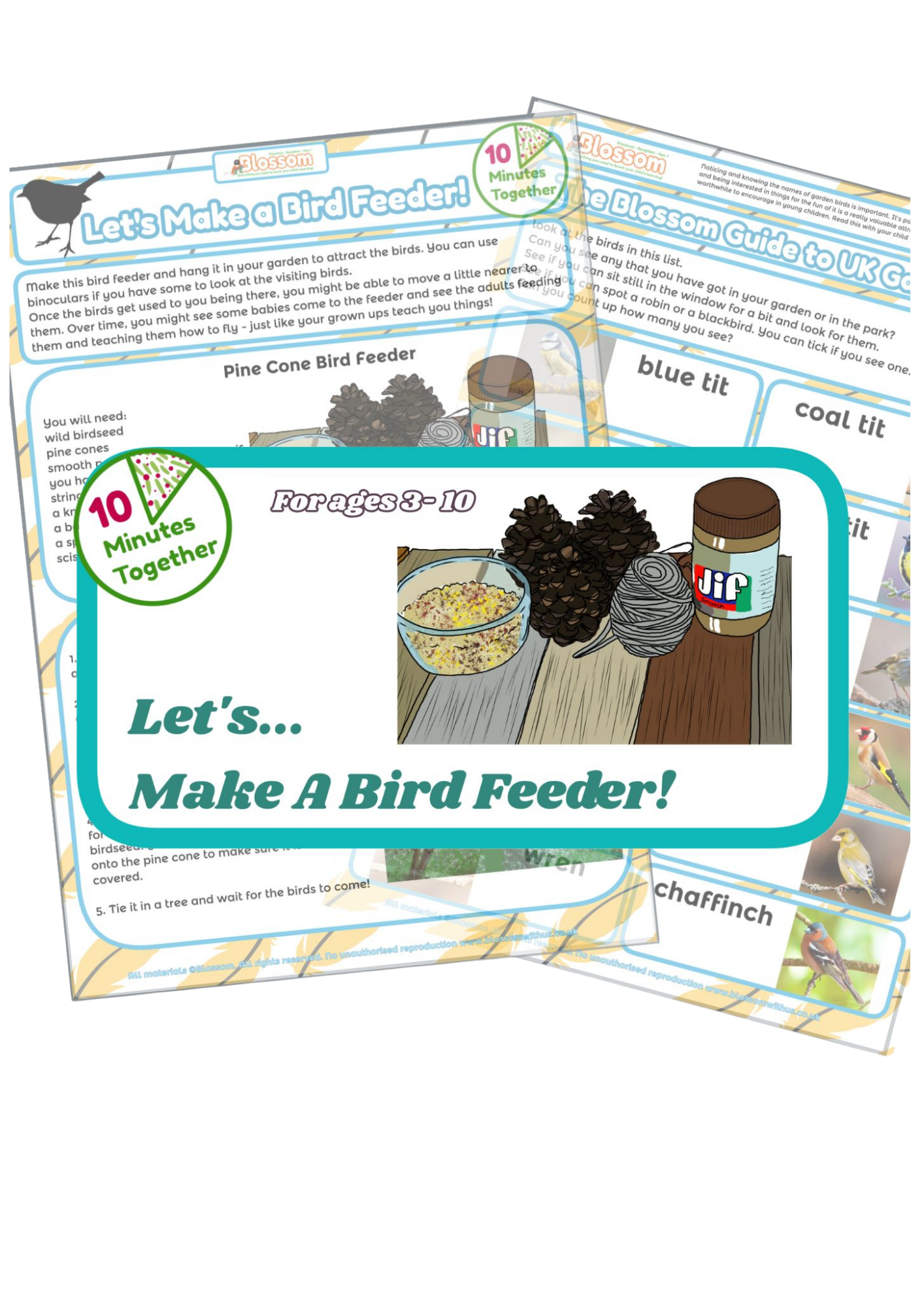Let's Make a Bird Feeder