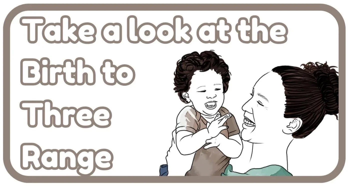 Illustration of a woman and a young child smiling and interacting, with playful text that reads 'Take a look at the Birth to Three Range'.