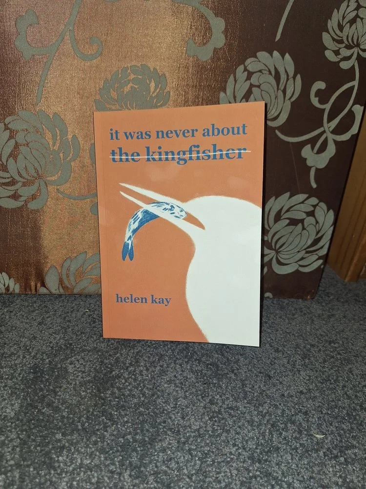 It Was Never About the Kingfisher - Book Launch