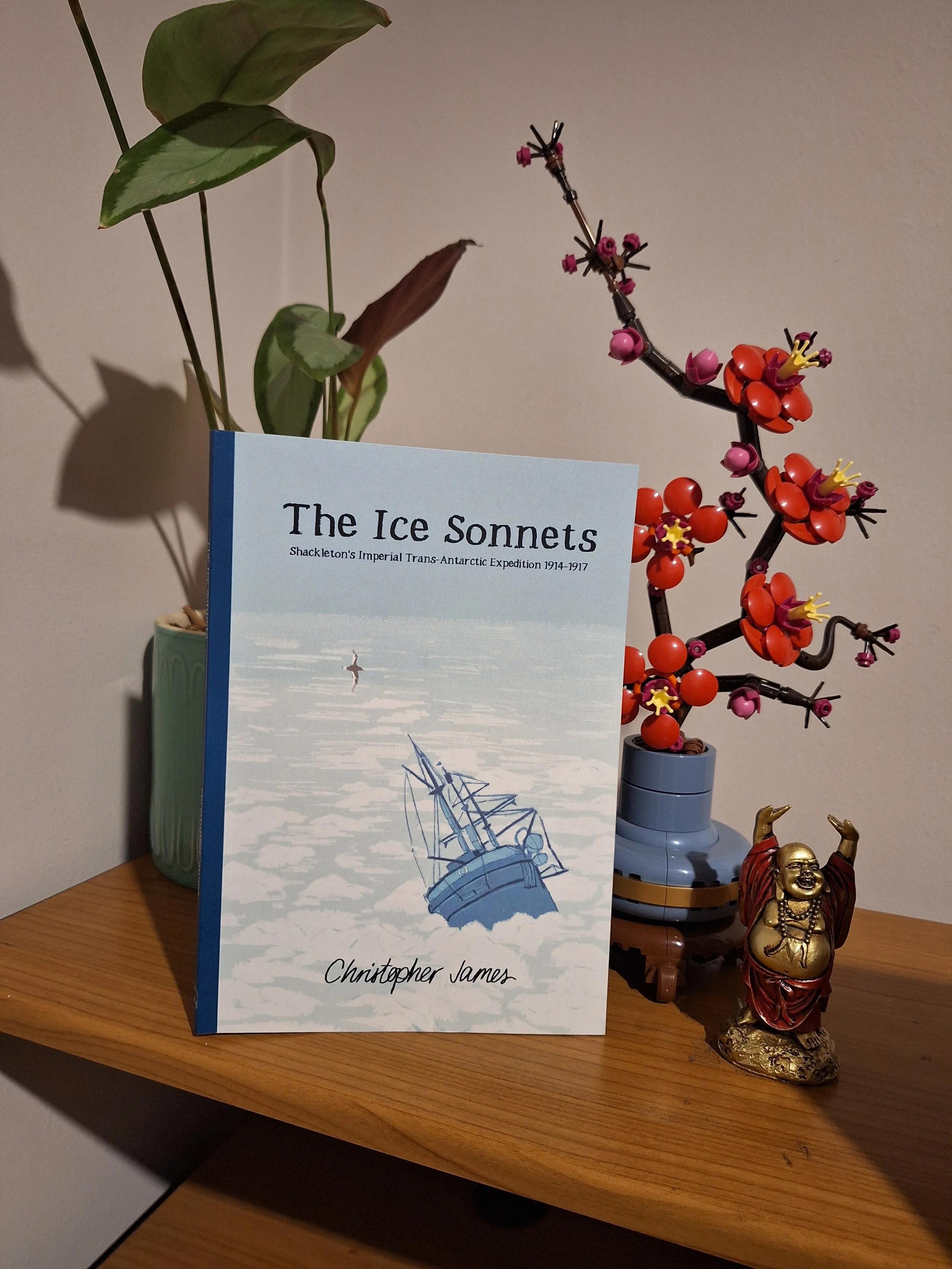 The Ice Sonnets - Publication Day and Launch