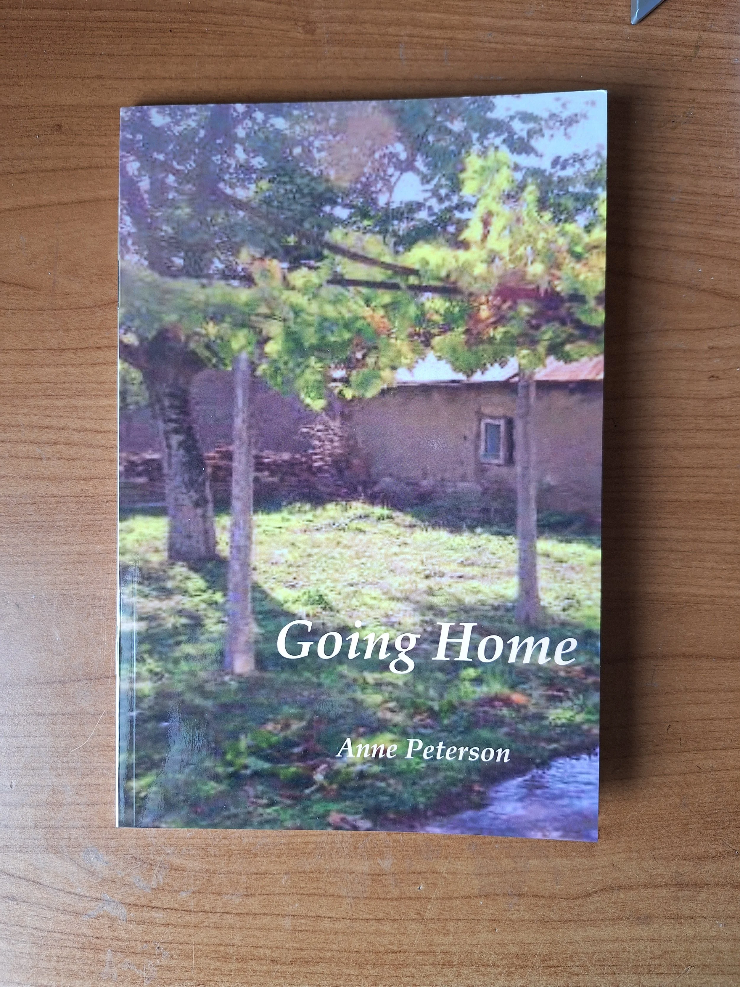 Cover of Going Home by Anne Peterson, a poetry chapbook published by Dithering Chaps in the UK.