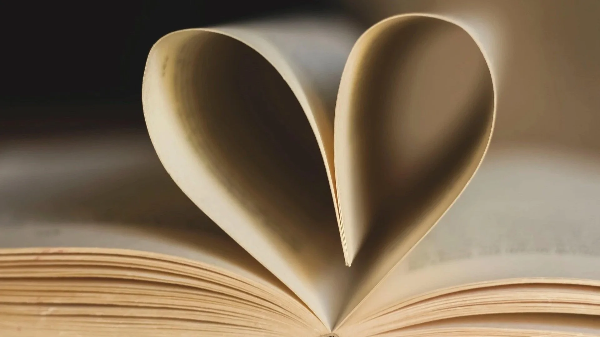 An open book with pages folded inward to form a heart shape symbolising the approach Dithering Chaps press takes to publishing poetry chapbooks.